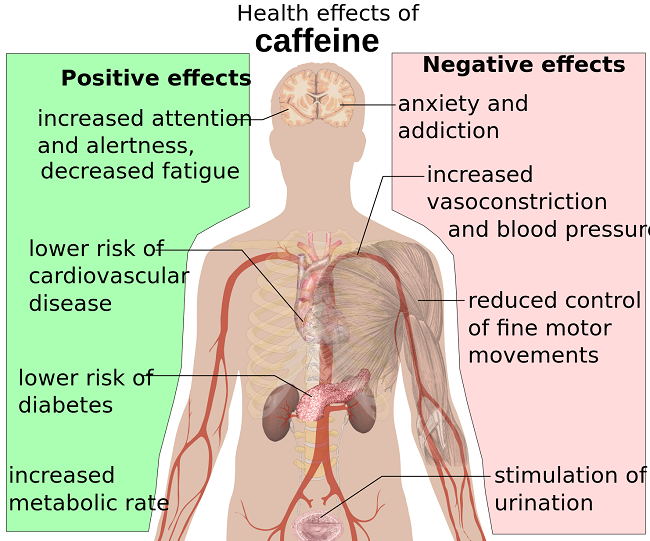 caffeine Increase Your Blood Pressure